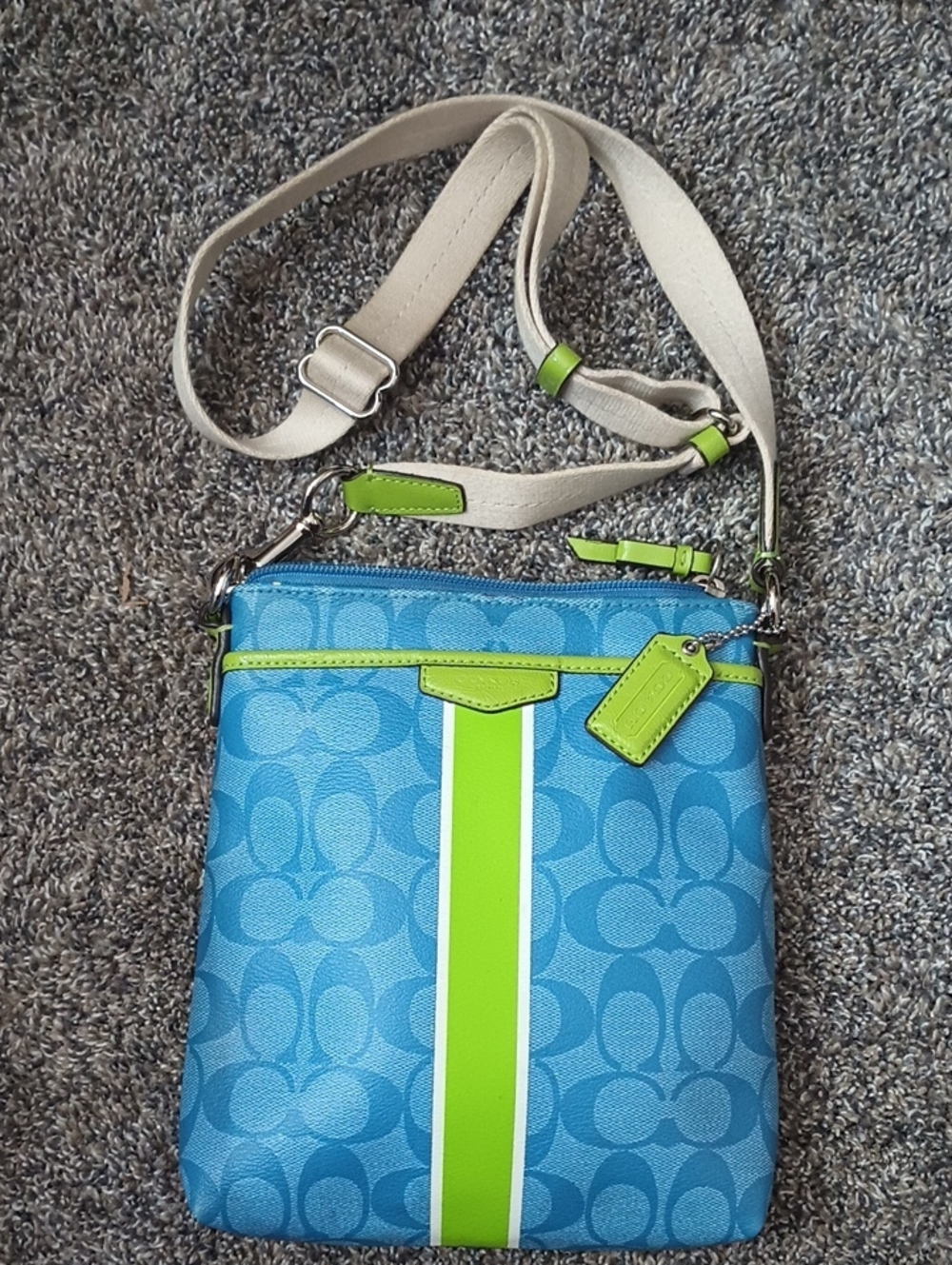 Coach Swing Pack